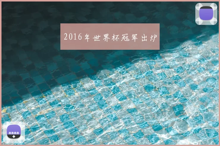 2016年世界杯冠军出炉