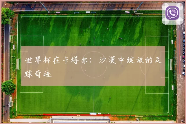 世界杯在卡塔尔：沙漠中绽放的足球奇迹