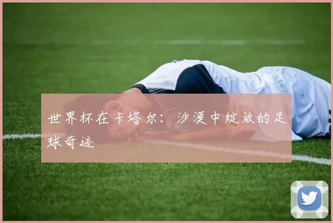 世界杯在卡塔尔:沙漠中绽放的足球奇迹
