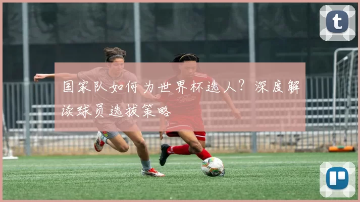国家队如何为世界杯选人?深度解读球员选拔策略