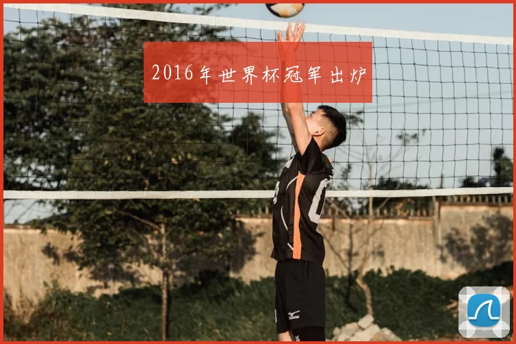 2016年世界杯冠军出炉