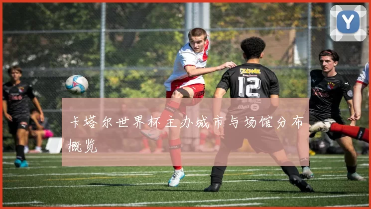 卡塔尔世界杯主办城市与场馆分布概览