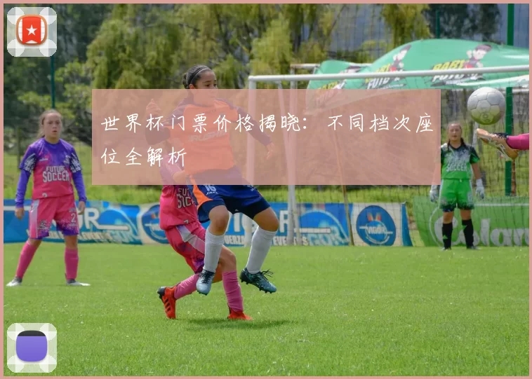 世界杯门票价格揭晓:不同档次座位全解析