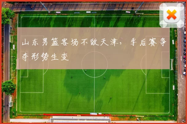 山东男篮客场不敌天津，季后赛争夺形势生变
