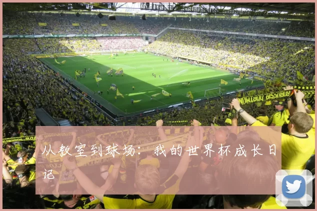 从教室到球场：我的世界杯成长日记