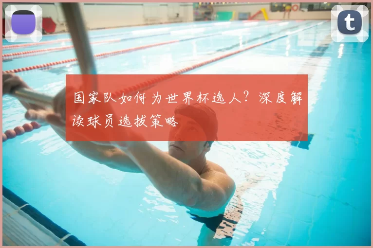国家队如何为世界杯选人?深度解读球员选拔策略