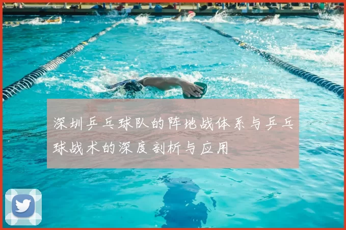 深圳乒乓球队的阵地战体系与乒乓球战术的深度剖析与应用