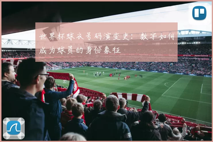 世界杯球衣号码演变史:数字如何成为球员的身份象征