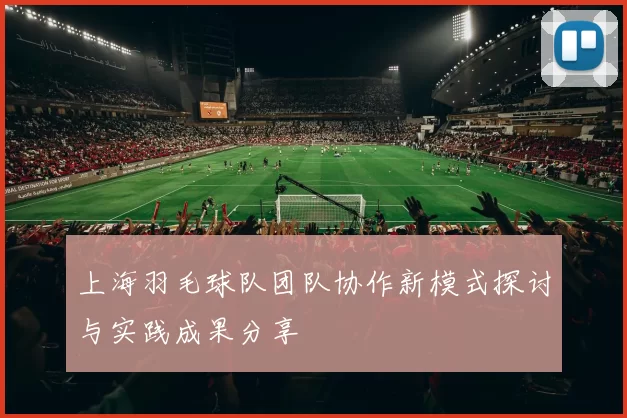 上海羽毛球队团队协作新模式探讨与实践成果分享
